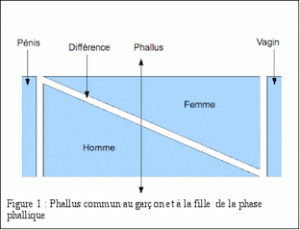 phase-phallique