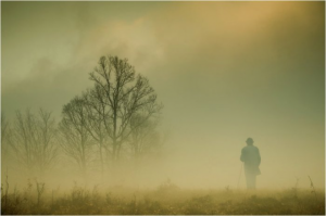 silence-de-l-image