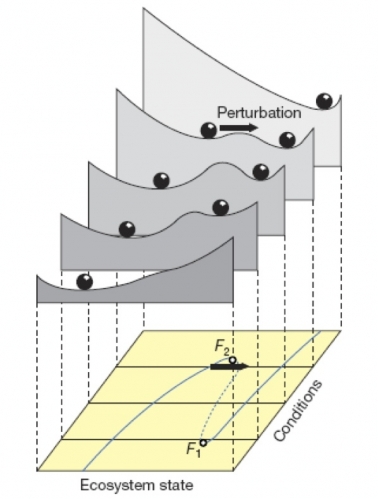 vidal-3