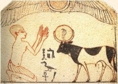 veau-d-or